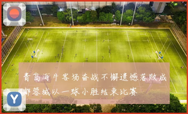 青岛海牛客场奋战不懈遗憾落败成都蓉城以一球小胜结束比赛