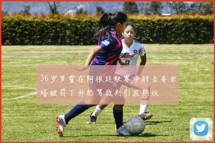 36岁罗霍在阿根廷联赛中肘击夸尔塔被罚下并怒骂裁判引发热议